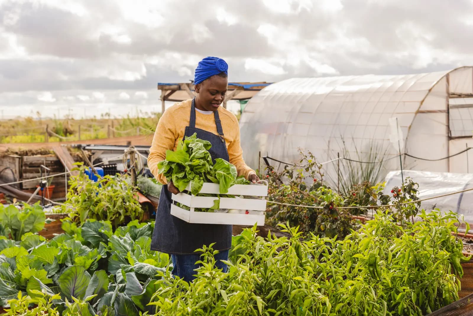 a picture of a small green house with a female farmer working